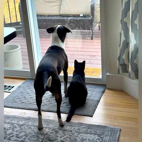 Meet your Posher, Jeni - Picture 1 of 1